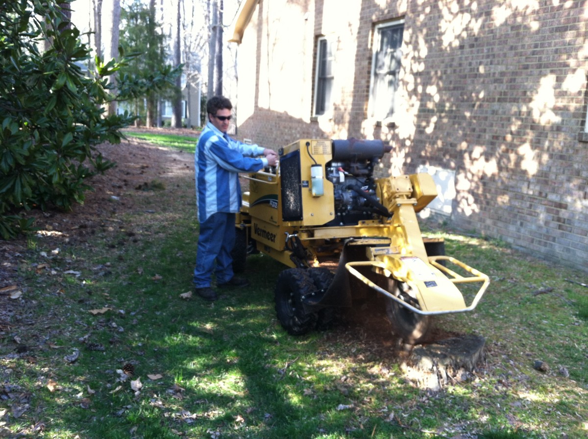 Tree Cutting Services in Williamsburg -Trimming, Removal, Stump Grinding